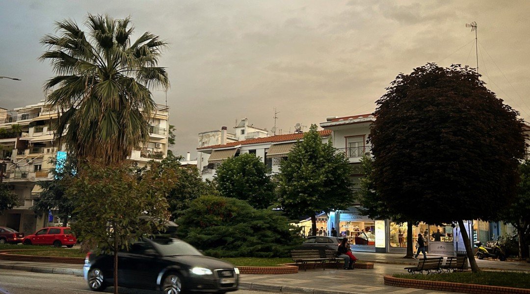 gallery view